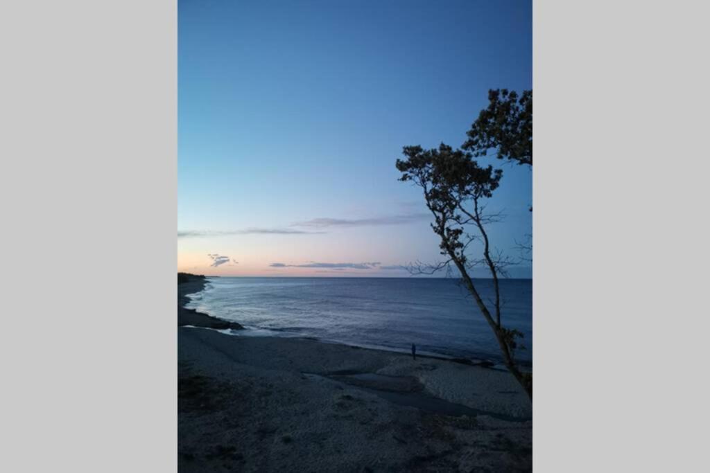 Marine De Bravone T2 Terrasse Front De Mer - Plage Pieds Dans L'Eau - Clim - Piscine - Wifi Linguizzetta Екстер'єр фото