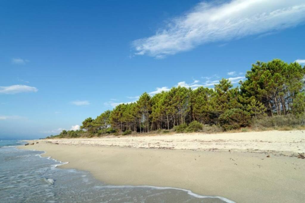 Marine De Bravone T2 Terrasse Front De Mer - Plage Pieds Dans L'Eau - Clim - Piscine - Wifi Linguizzetta Екстер'єр фото