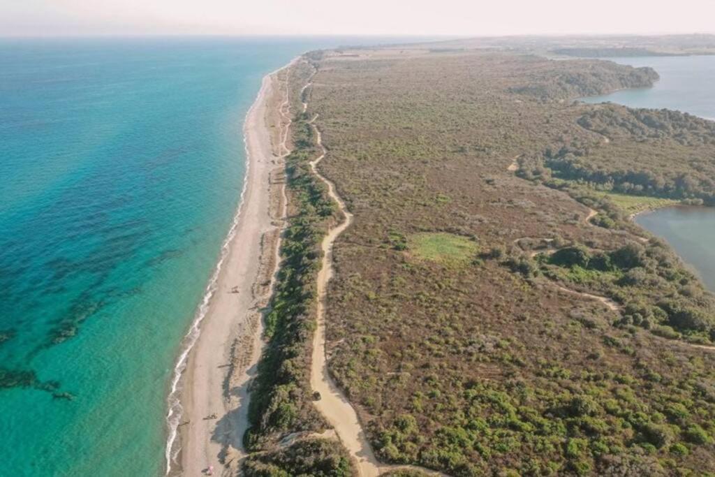 Marine De Bravone T2 Terrasse Front De Mer - Plage Pieds Dans L'Eau - Clim - Piscine - Wifi Linguizzetta Екстер'єр фото