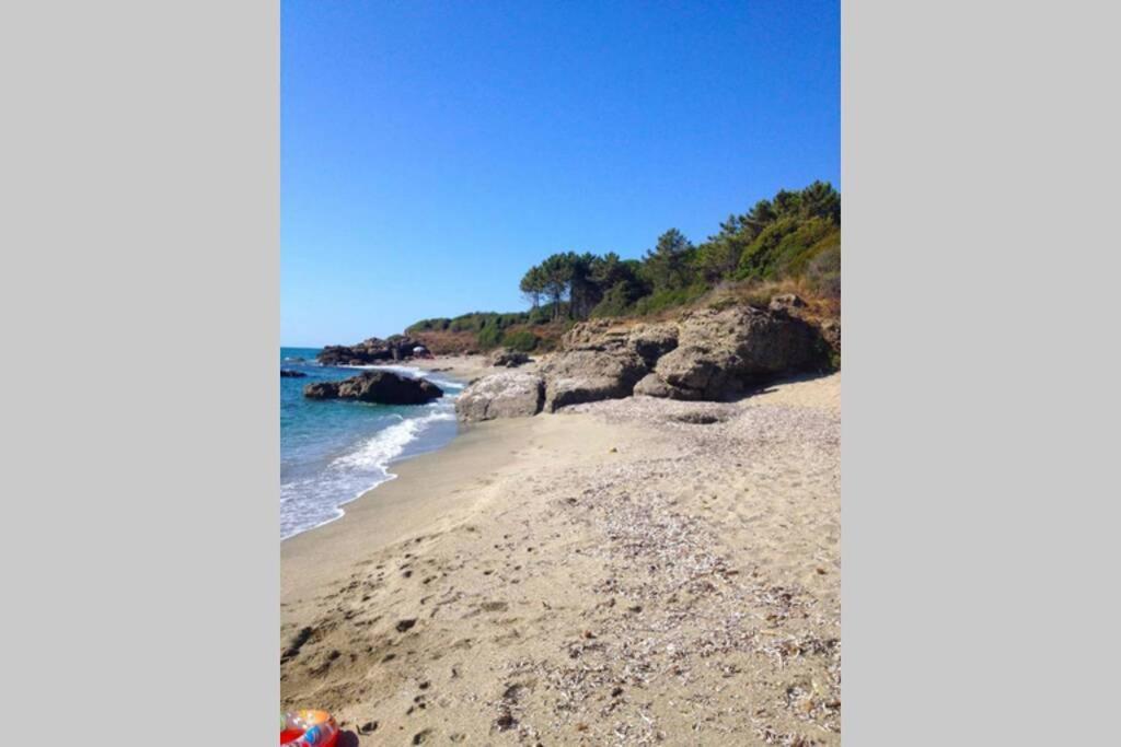 Marine De Bravone T2 Terrasse Front De Mer - Plage Pieds Dans L'Eau - Clim - Piscine - Wifi Linguizzetta Екстер'єр фото