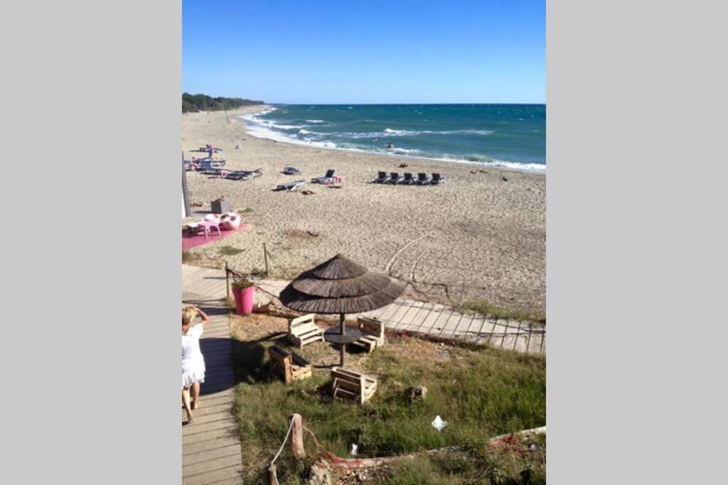 Marine De Bravone T2 Terrasse Front De Mer - Plage Pieds Dans L'Eau - Clim - Piscine - Wifi Linguizzetta Екстер'єр фото