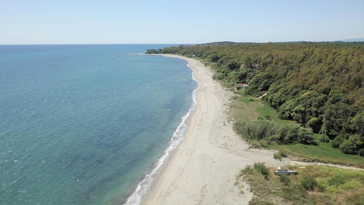 Marine De Bravone T2 Terrasse Front De Mer - Plage Pieds Dans L'Eau - Clim - Piscine - Wifi Linguizzetta Екстер'єр фото
