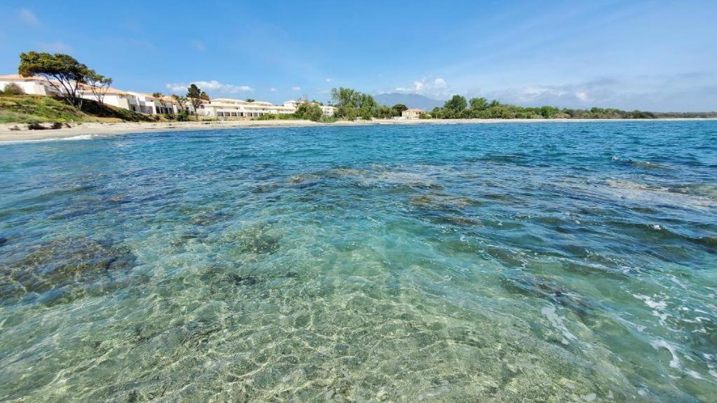 Marine De Bravone T2 Terrasse Front De Mer - Plage Pieds Dans L'Eau - Clim - Piscine - Wifi Linguizzetta Екстер'єр фото
